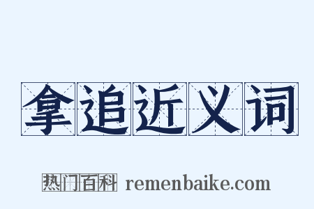 拿追近义词是什么意思的图片
